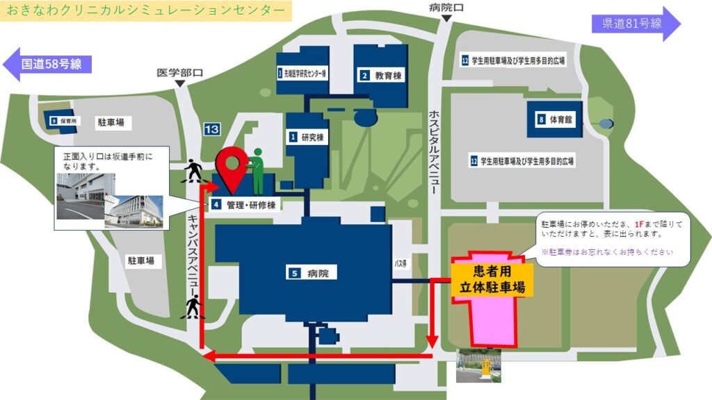 車からの路線図